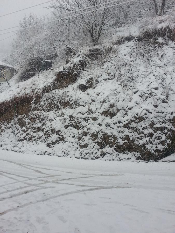 Holiday Bnb Manali ภายนอก รูปภาพ
